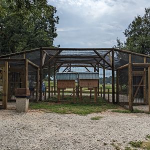 Atlanta Safari Park - Walk through area budgie aviary