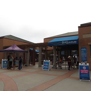 Aquarium Entrance