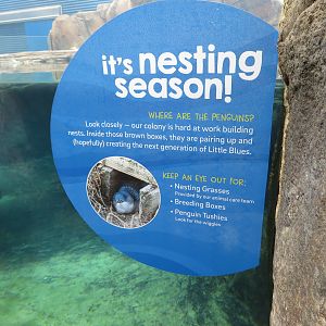 Penguin Nesting Signage