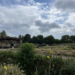 North America- Polar bear enclosure 13.7.