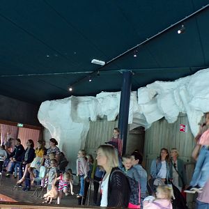 North Ameroca- Fake ice in Polar bear viewing area (with people for scale) 13.7.23