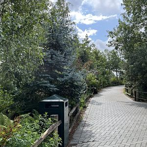 North America- view going towards Bison 13.7.23