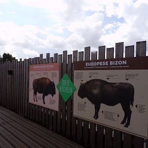 North America- Bison ID signage 13.7.23