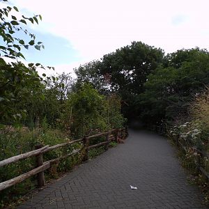 North America- view from Bison enclosure to the park 13.7.23