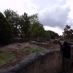 North America- Prairie dog enclosure 13.7.23