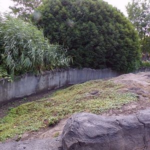 North America- Prairie dog enclosure 13.7.23