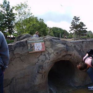 North America- Prairie dog viewing area- tunnel access 13.7.23