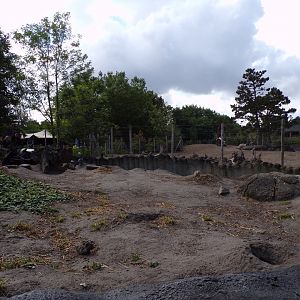North America- Prairie dog enclosure 13.7.23
