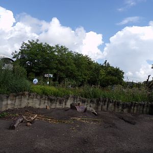 North America- Prairie dog enclosure 13.7.23