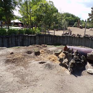 North America- Prairie dog enclosure 13.7.23