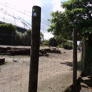 South America- Vicuña and Rhea enclosure 13.7.23