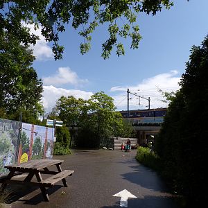 General view coming past the trains tracks to the other side of the zoo 13.7.23