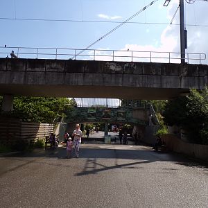 View of train tracks going over zoo 13.7.23