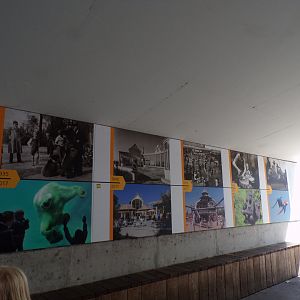 Zoo history timeline 13.7.23