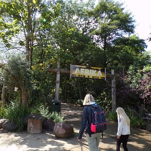 Africa- Entrance 13.7.23