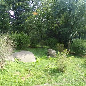 Asia- Asiatic Lion enclosure 13.7.23