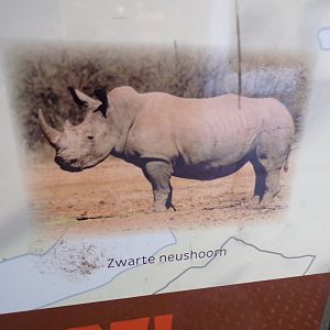 Tut tut tut! 13.7.23