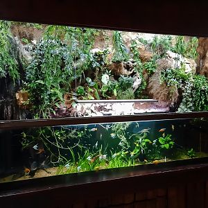 Aquarium for warm-water fish