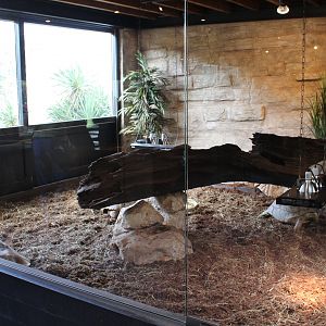 Tortoise-enclosure