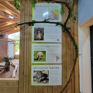 Oglebay Good Zoo - Their indoor signs are REALLY big