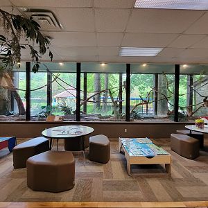 Oglebay Good Zoo - Linneaus's two-toed sloth, southern three-banded armadillo, red-footed tortoise, scarlet macaw