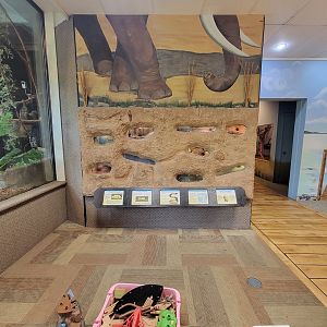 Oglebay Good Zoo - Naked mole-rats