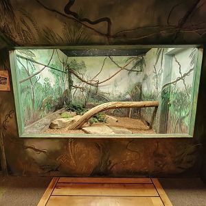 Oglebay Good Zoo - Burmese python