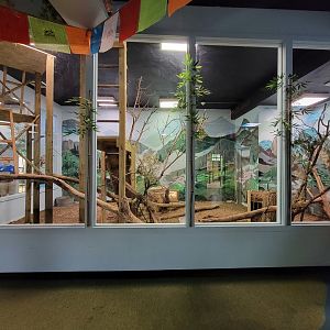 Oglebay Good Zoo - Red panda and Burmese mountain tortoise indoor rooms