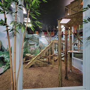 Oglebay Good Zoo - Red panda and Burmese mountain tortoise indoor rooms