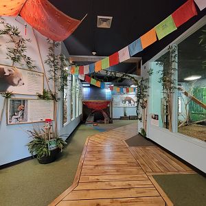 Oglebay Good Zoo - Red panda and Burmese mountain tortoise indoor rooms
