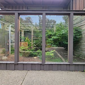 Oglebay Good Zoo - Red panda and Burmese mountain tortoise outdoor exhibit