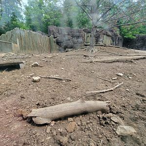 Oglebay Good Zoo - Cape porcupine