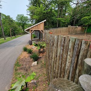 Oglebay Good Zoo - Red river hogs viewing window