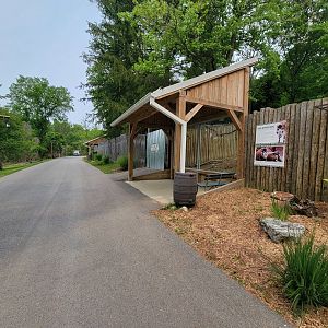 Oglebay Good Zoo - Red river hog viewing window