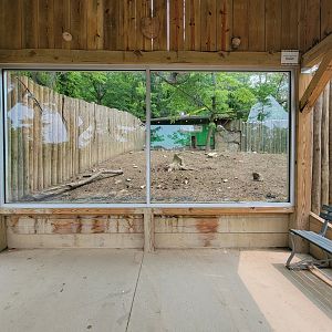 Oglebay Good Zoo - Red river hog viewing window