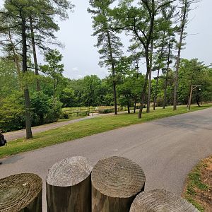 Oglebay Good Zoo - View of path, zebra yard from raised platform