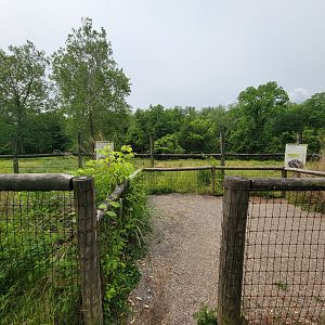 Oglebay Good Zoo - Grevy's zebra and ostrich