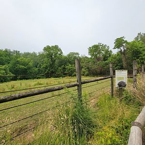 Oglebay Good Zoo - Grevy's zebra and ostrich