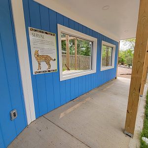 Oglebay Good Zoo - Serval