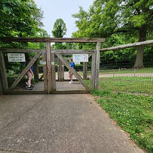 Oglebay Good Zoo - Walkabout, red kangaroo and Bennett's wallaby