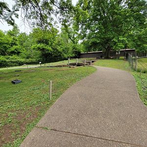 Oglebay Good Zoo - Walkabout, red kangaroo and Bennett's wallaby