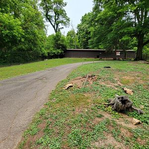 Oglebay Good Zoo - Walkabout, red kangaroo and Bennett's wallaby