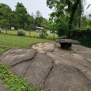 Oglebay Good Zoo - Walkabout, red kangaroo and Bennett's wallaby