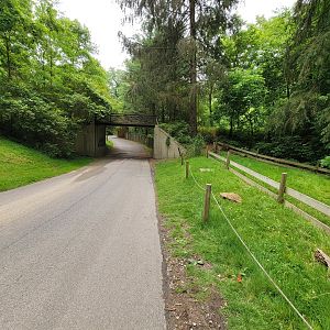 Oglebay Good Zoo - Main path, Sulcata tortoise on right