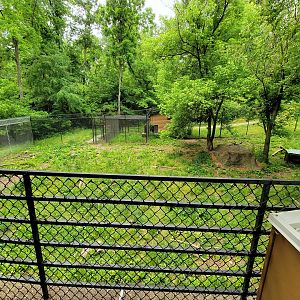 Oglebay Good Zoo - Maned wolf yard from upper/public viewing