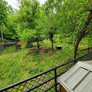Oglebay Good Zoo - Maned wolf yard from upper/public viewing