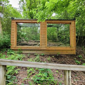 Oglebay Good Zoo - Unsigned ring-tailed lemurs