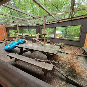 Oglebay Good Zoo - Bobcat outdoor yard, West Virginia Conservation Center