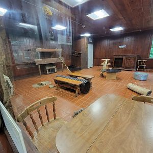 Oglebay Good Zoo - Bobcat indoor area, West Virginia Conservation Center