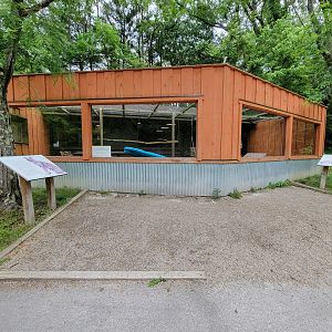 Oglebay Good Zoo - Bobcat viewing windows, West Virginia Conservation Center